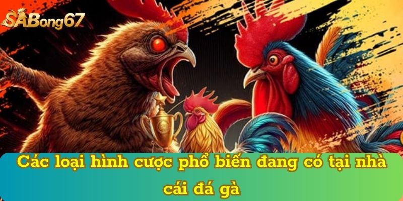 Các loại hình cược phổ biến đang có tại nhà cái đá gà